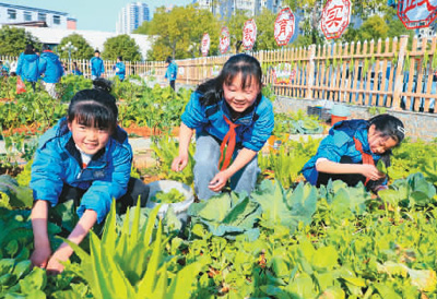 开展劳动教育，助力健康成长（健康视线）