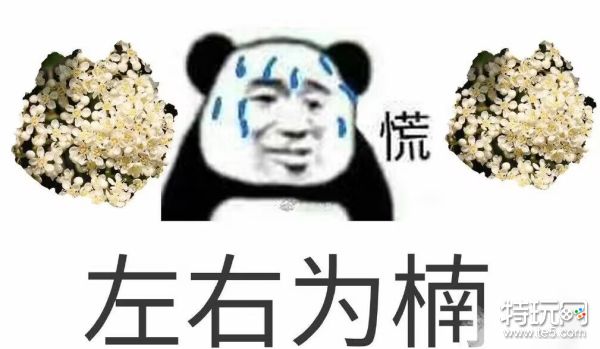 石楠花表情包 石楠花恶搞表情包图片