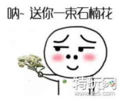 送你两把小石楠花表情包 石楠花表情包图片