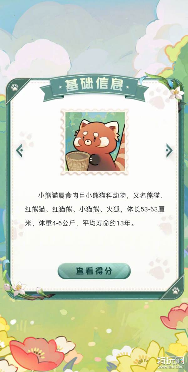 阴阳师小熊猫大挑战活动介绍