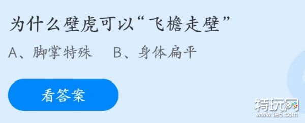 蚂蚁庄园4月27日：为什么壁虎可以飞檐走壁