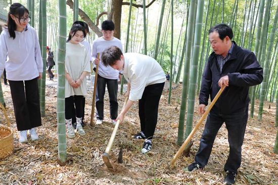 一堂特殊的竹林思政课