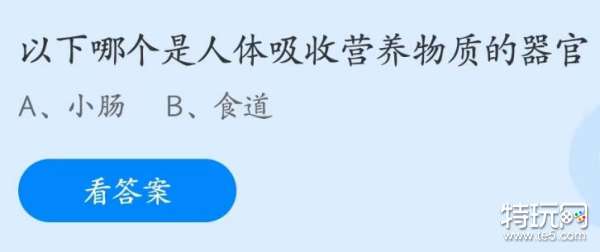 蚂蚁庄园5月31日：以下哪个是人体吸收营养物质的器官