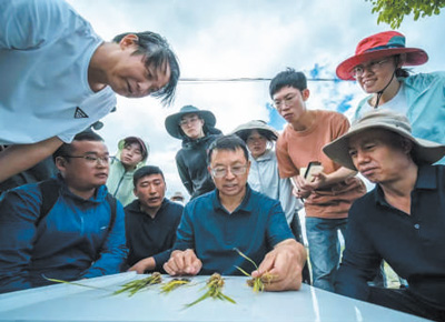 青春在科技小院闪闪发光（新时代画卷）