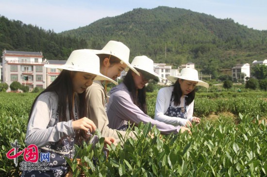 中国传媒大学“行读中国”暑期社会实践团队走进江西上犹