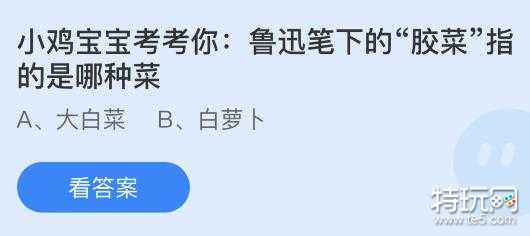 蚂蚁庄园今日答案8.5答案-蚂蚁庄园小课堂今日答案最新(8月5日)