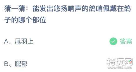 蚂蚁庄园今日答案7.26答案-蚂蚁庄园小课堂今日答案最新(7月26日)