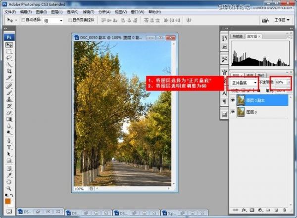 Adobe Photoshop CC 2015制作深秋黄色调效果(PS)教程