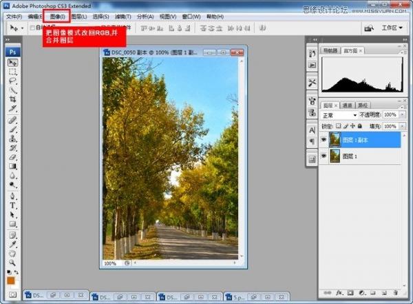 Adobe Photoshop CC 2015制作深秋黄色调效果(PS)教程