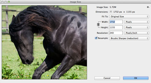 photoshop cs6破解版(photoshopcs6破解版安装包)