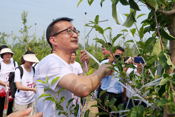 这个暑假，他们把课堂搬到乡村振兴一线