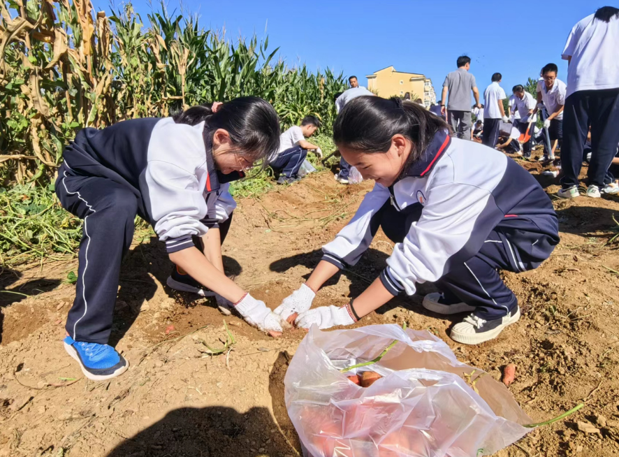 北京密云：在丰收节里收获成长