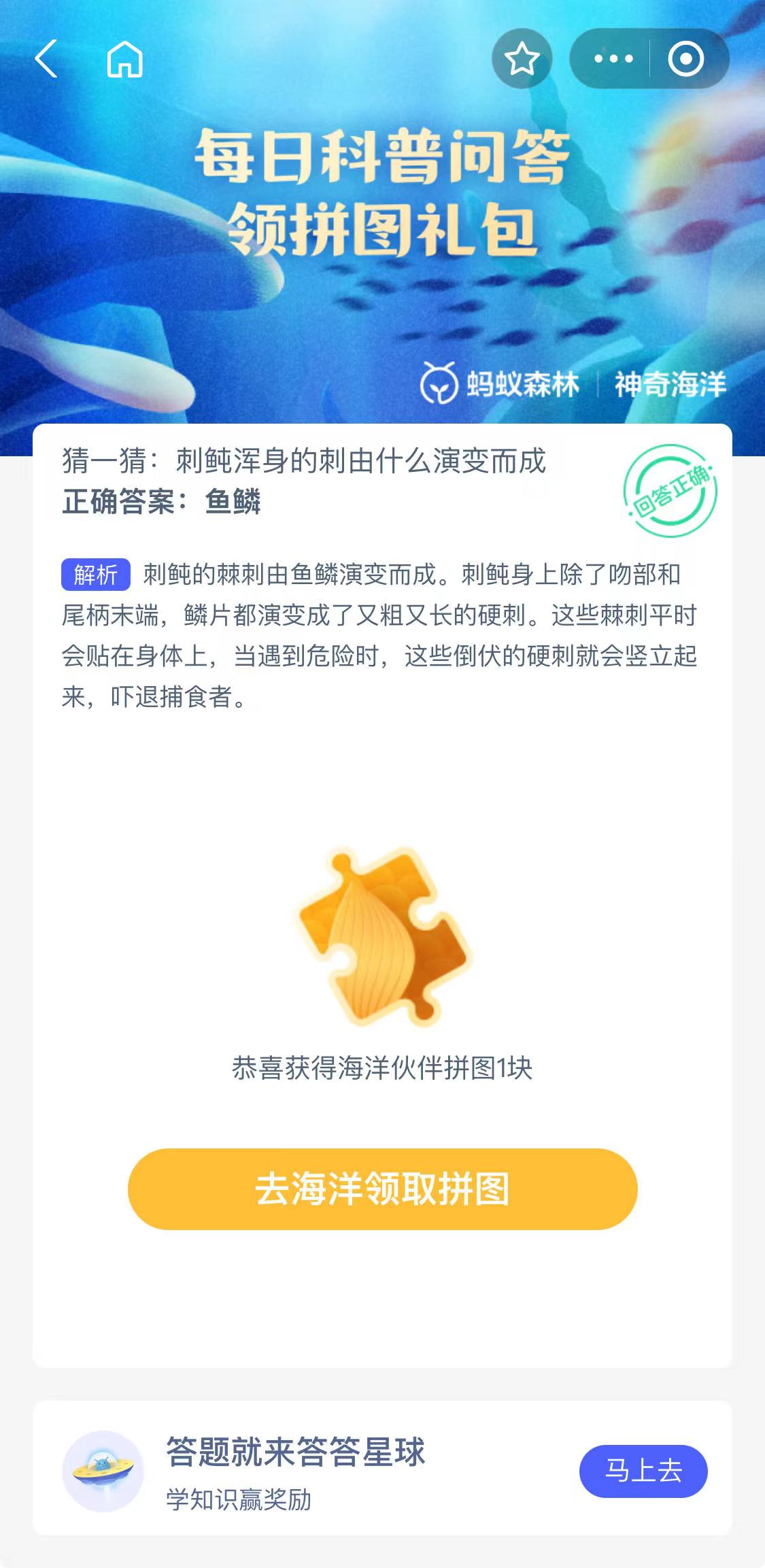 刺鲀浑身的刺由什么演变而成?