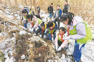 小学生走近野生动植物