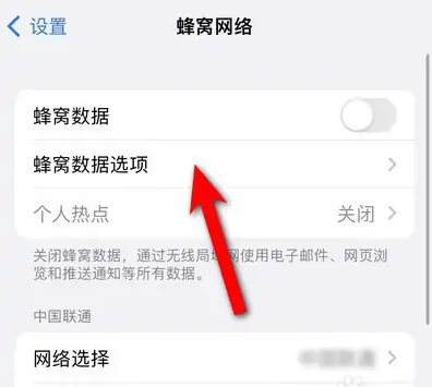 iphone14设置5g网络方法