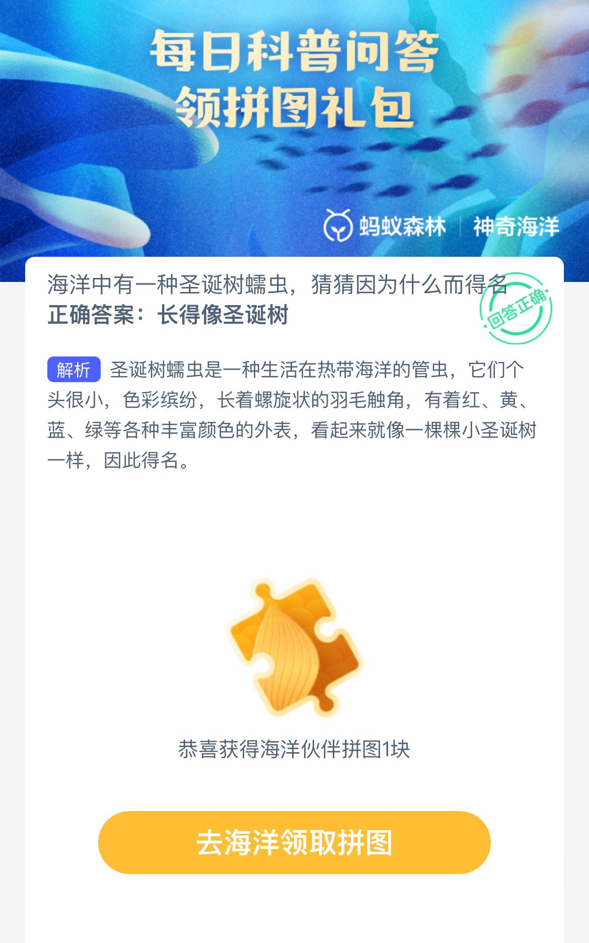 神奇海洋生物图片