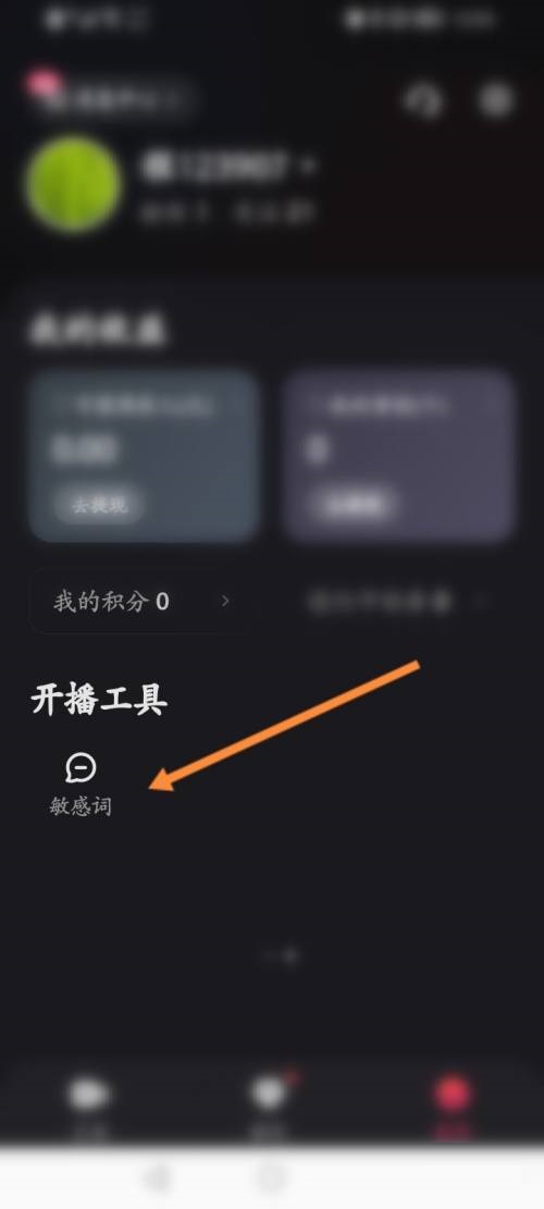 快手直播伴侣怎么添加文字