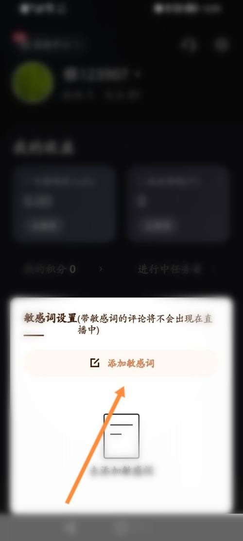 快手直播伴侣怎么添加文字